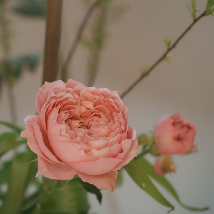 Foto 22.03.26, 14 25 11